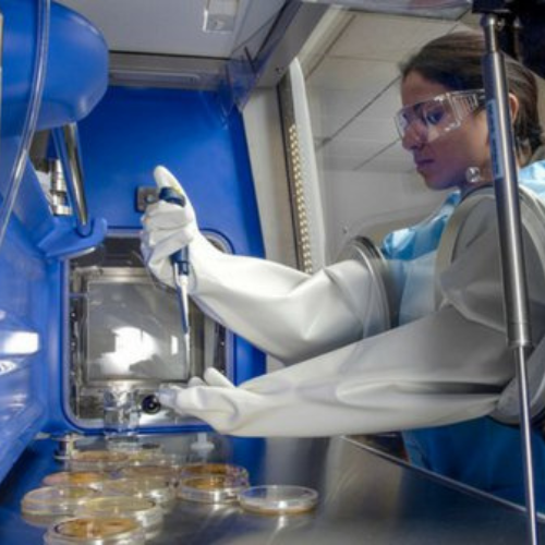 Reinraum- und RABS/Isolator-Handschuhe