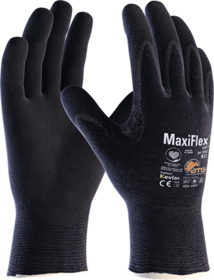 Descriptive image text