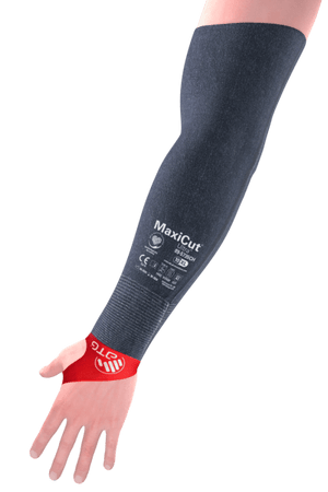 Descriptive image text