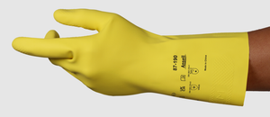 Descriptive image text