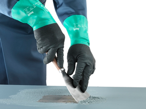 Descriptive image text