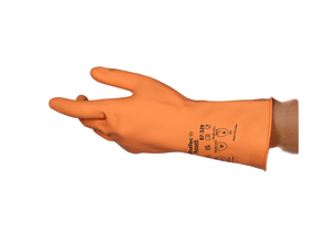 Descriptive image text